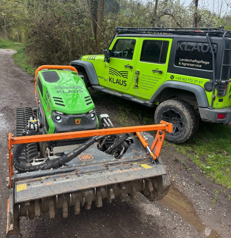 Funkraupe Forstmulcher Funkraupe mit Forstmulcher in Esslingen am Neckar